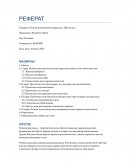 Өсімдік жасушасының құрылысы. Протопласт