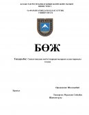 Саясаттанудың негізгі парадигмаларын салыстырмалы талдау