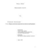 Порядок назначения и проведения выездной налоговой проверки