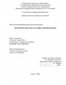 Э/кологические последствия 3"ядерной зимы"