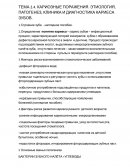 Кариозные поражения. Этиология, патогенез, клиника и диагностика кариеса зубов Кариозные поражения. Этиология, патогенез, клиника и диагностика кариеса зубов
