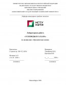 Углеводы и сахара