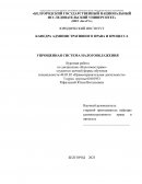 Упрощенная система налогообложения Упрощенная система налогообложения