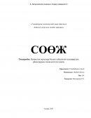 Қазақстан мүшелері болып табылатын халықаралық ұйымдардың схема-кестесін жасау