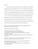 Влияние философских идей Ф.М. Достоевского на философию ХХ века