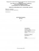 Система финансовго контроля Российской Федерации Система финансовго контроля Российской Федерации