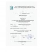 Отчет по практике в МБОУ "Палтогская школа-интернат для обучающихся с ОВЗ" Отчет по практике в МБОУ "Палтогская школа-интернат для обучающихся с ОВЗ"